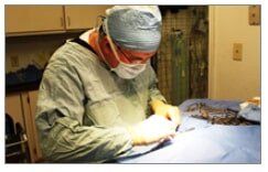 Vet Services-Gatesville, TX-Coryell Veterinary Clinic