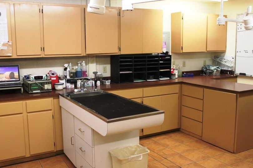 Coryell Vet Clinic-Gatesville, TX-Coryell Veterinary Clinic