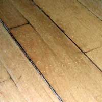 Dried out wood floors and furniture