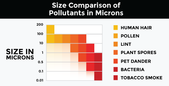 size comparison