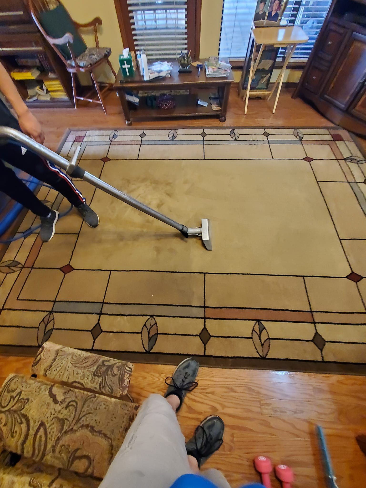 Person vacuuming a large beige rug with a patterned border in a living room.