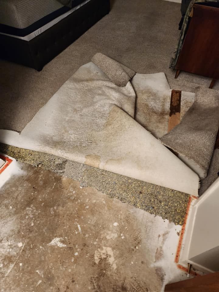 Carpet removed from a room, revealing the underlayment and floor. The carpet is rolled up and stained.