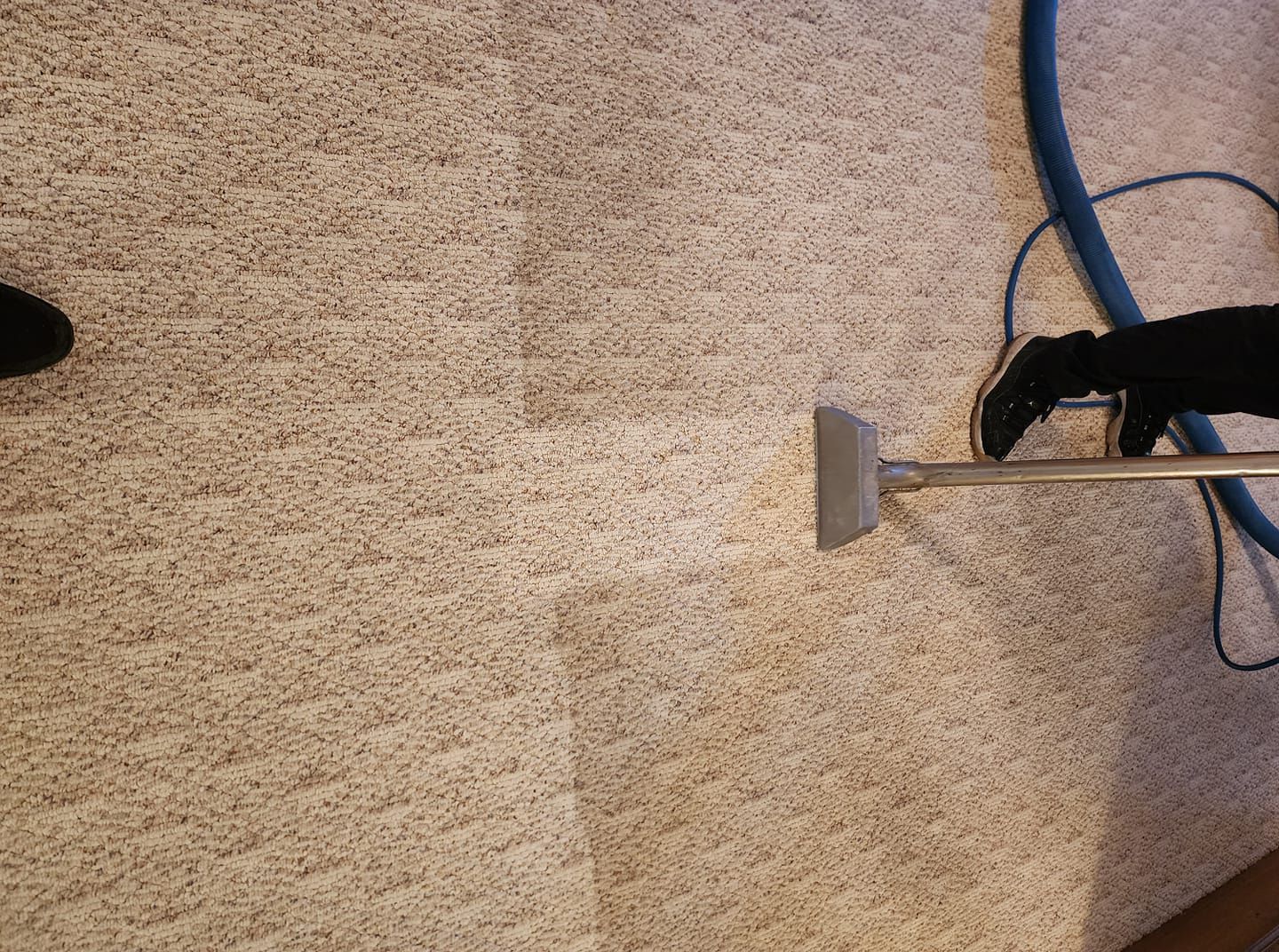 Carpet being cleaned with a machine; one section is lighter than the rest.