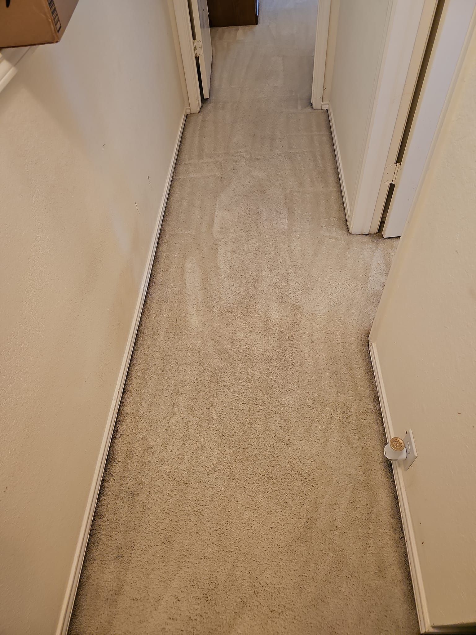Narrow hallway with speckled carpet, beige walls, and doorways on either side.