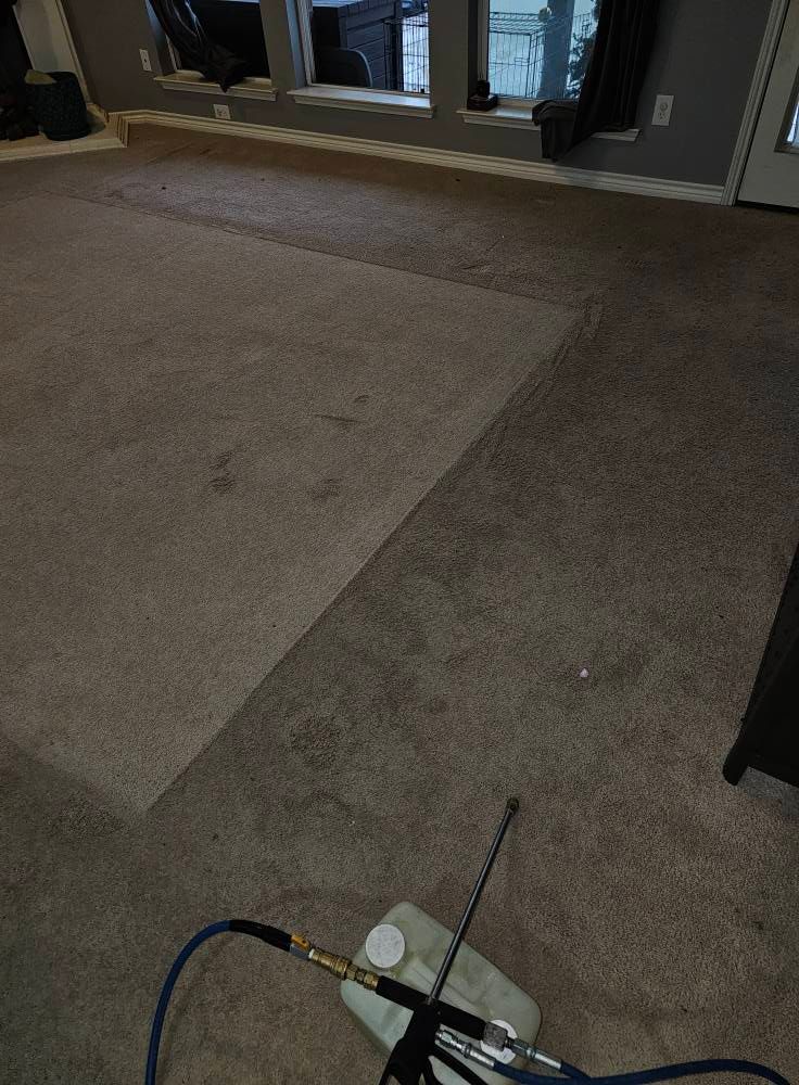 Carpet being cleaned; lighter area shows cleaned section, with cleaning equipment in the foreground.