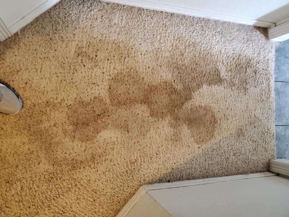 Stained beige carpet in a room, with brown discoloration in a large area, near a door.