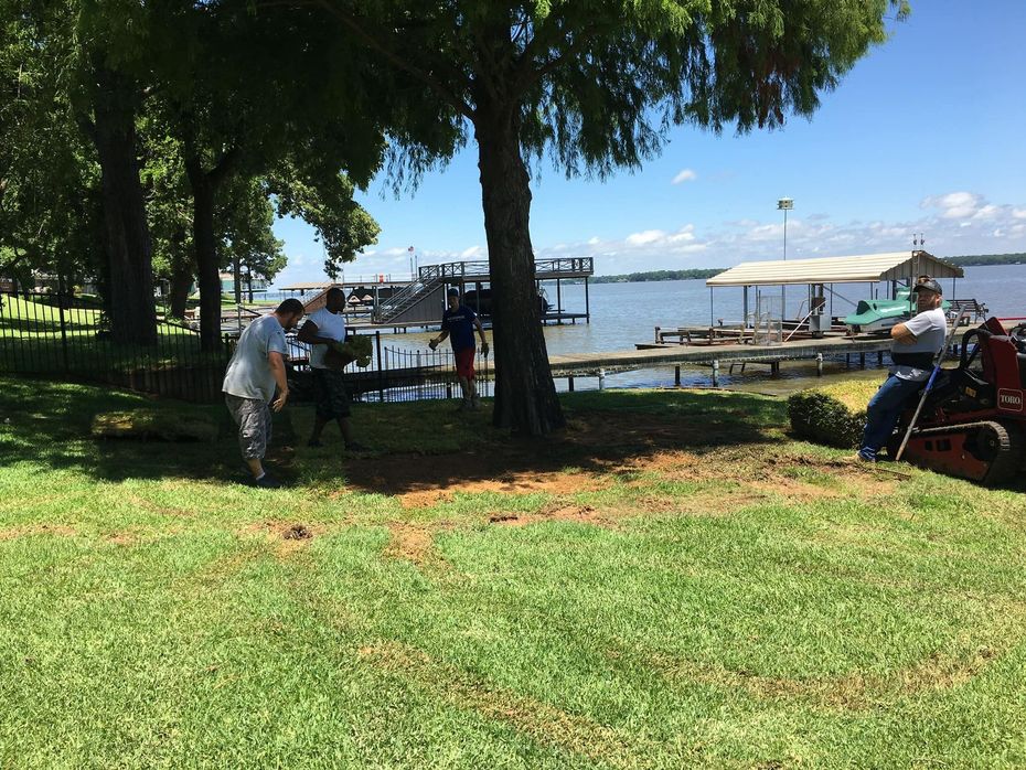 Men working on landscaping with a red mini-excavator on a lawn, with a treeline in the background.