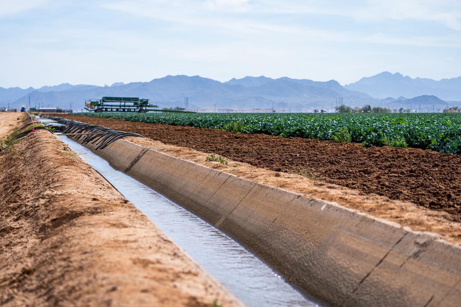 A concrete irrigation canal flows past rows of green crops toward distant desert mountains under a clear sky.
