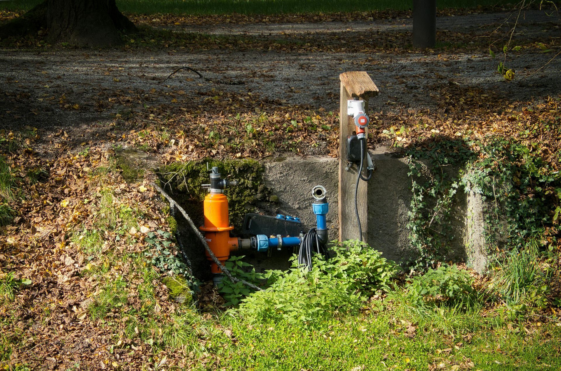 Water pipes and valves in a grassy ditch with foliage, a concrete border, and a wooded background.
