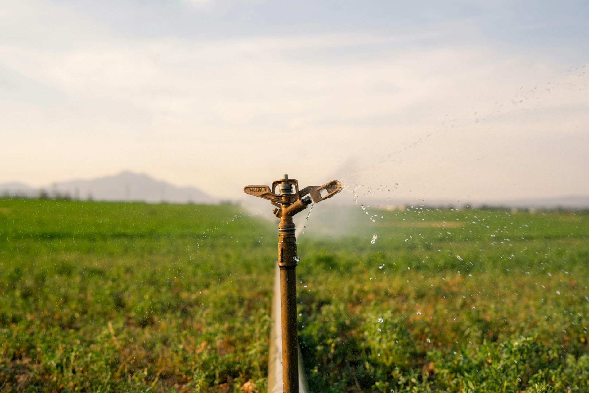 Sprinkler irrigating a green field; distant mountains and cloudy sky.