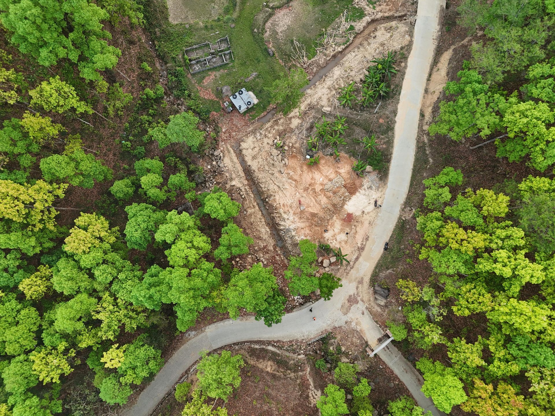 Overhead view of a dirt path winding through a green and yellow-leafed forest.