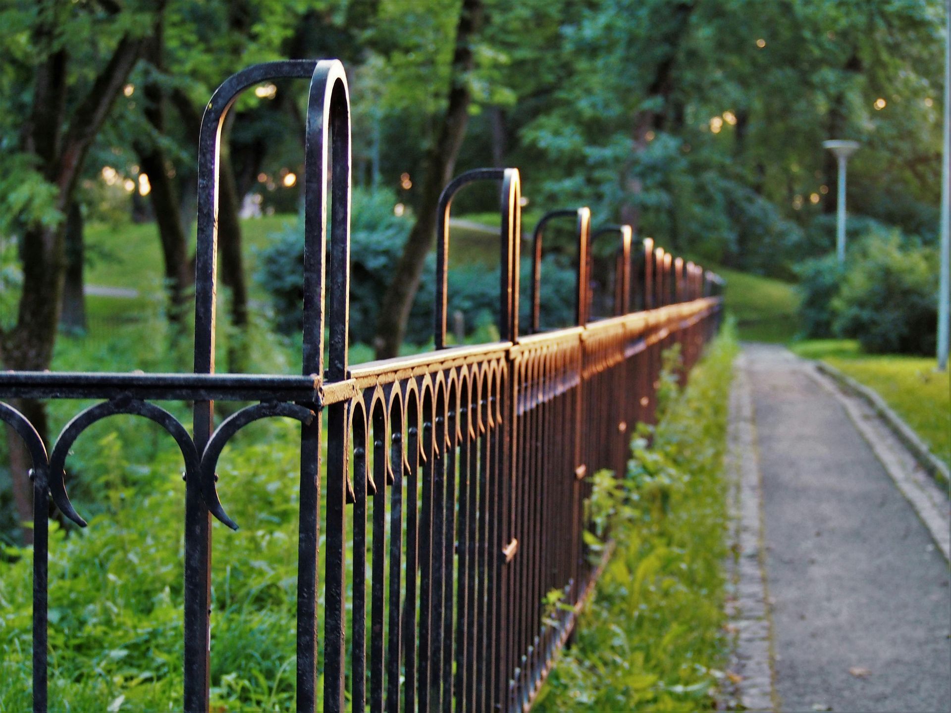 Black wrought iron fence borders a path in a park; sunlight highlights the tops of the fence.