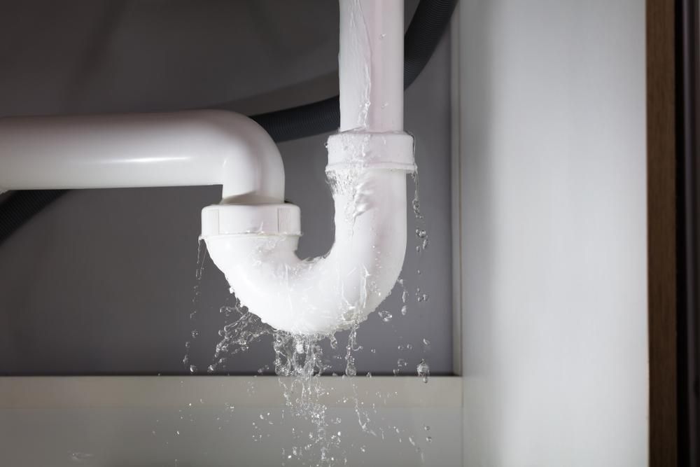 A Sink Pipe Is Leaking Water Under a Sink in A Bathroom — Grant Wannan Plumbing in Wollongbar, NSW