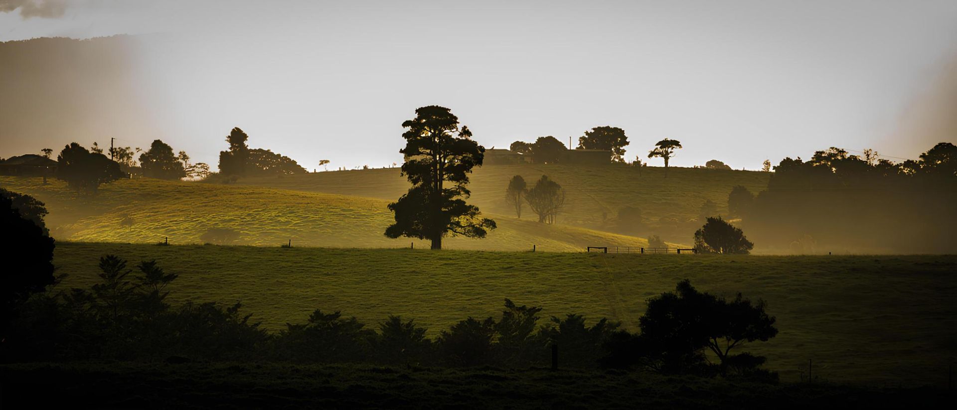 A Silhouette of a Tree in the Middle of a Field at Sunset — Eclipse Fabrication in Tablelands, QLD