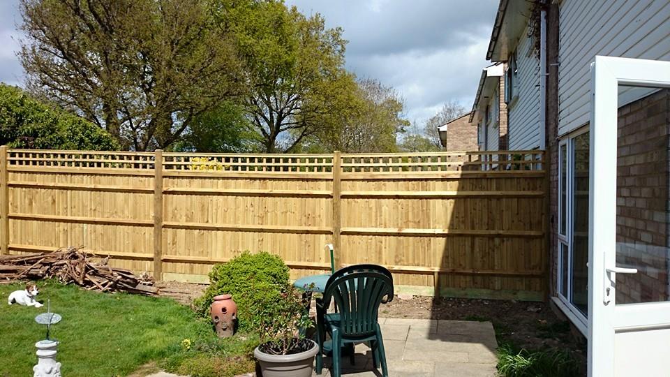 garden with fencing