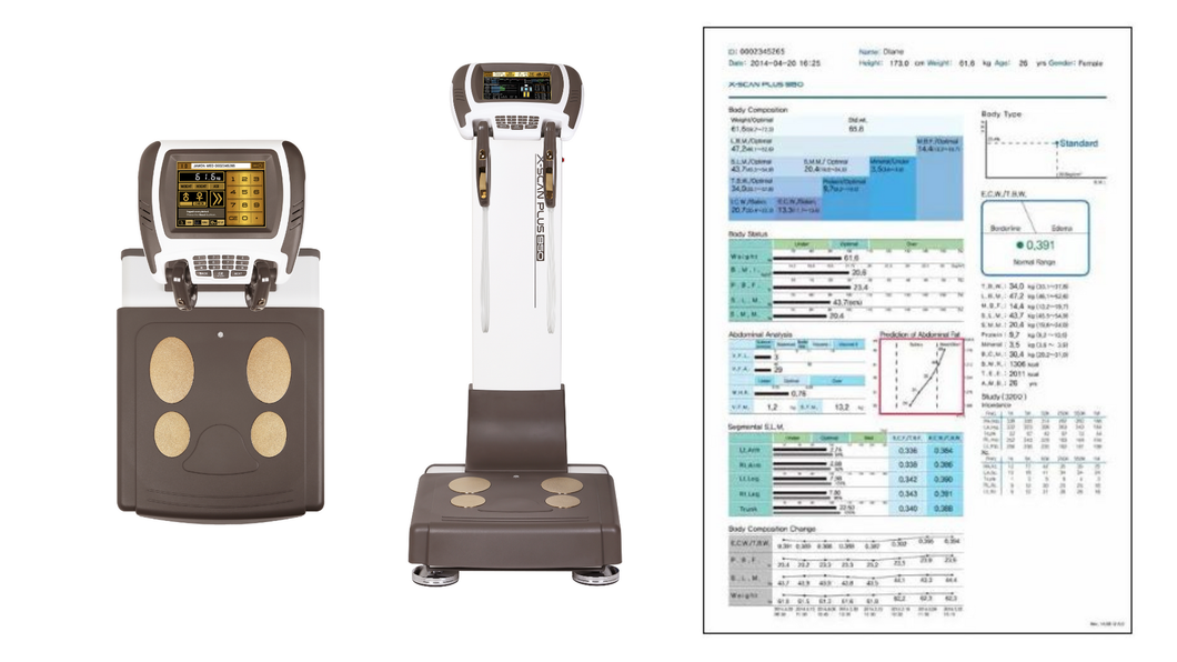 Body Composition Scans