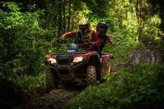 Quad bike in an argyll and bute woodland.