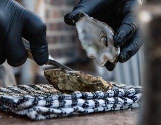 Oysters being shucked on a table.