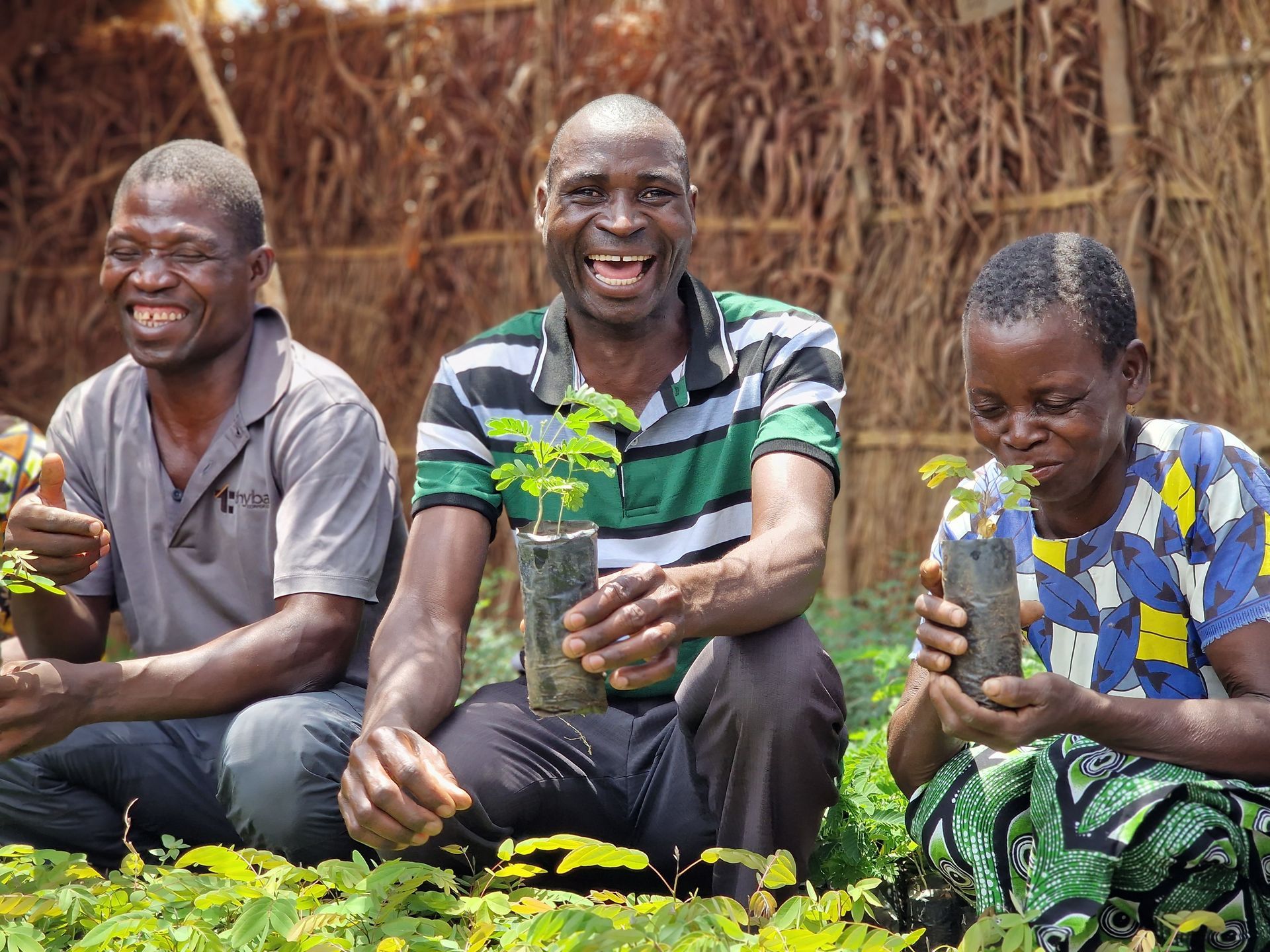 two smiling planting trees