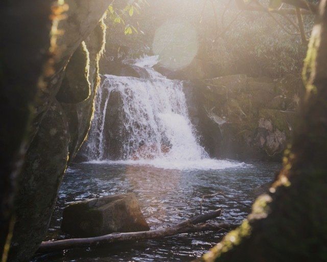 A waterfall in a woodland.