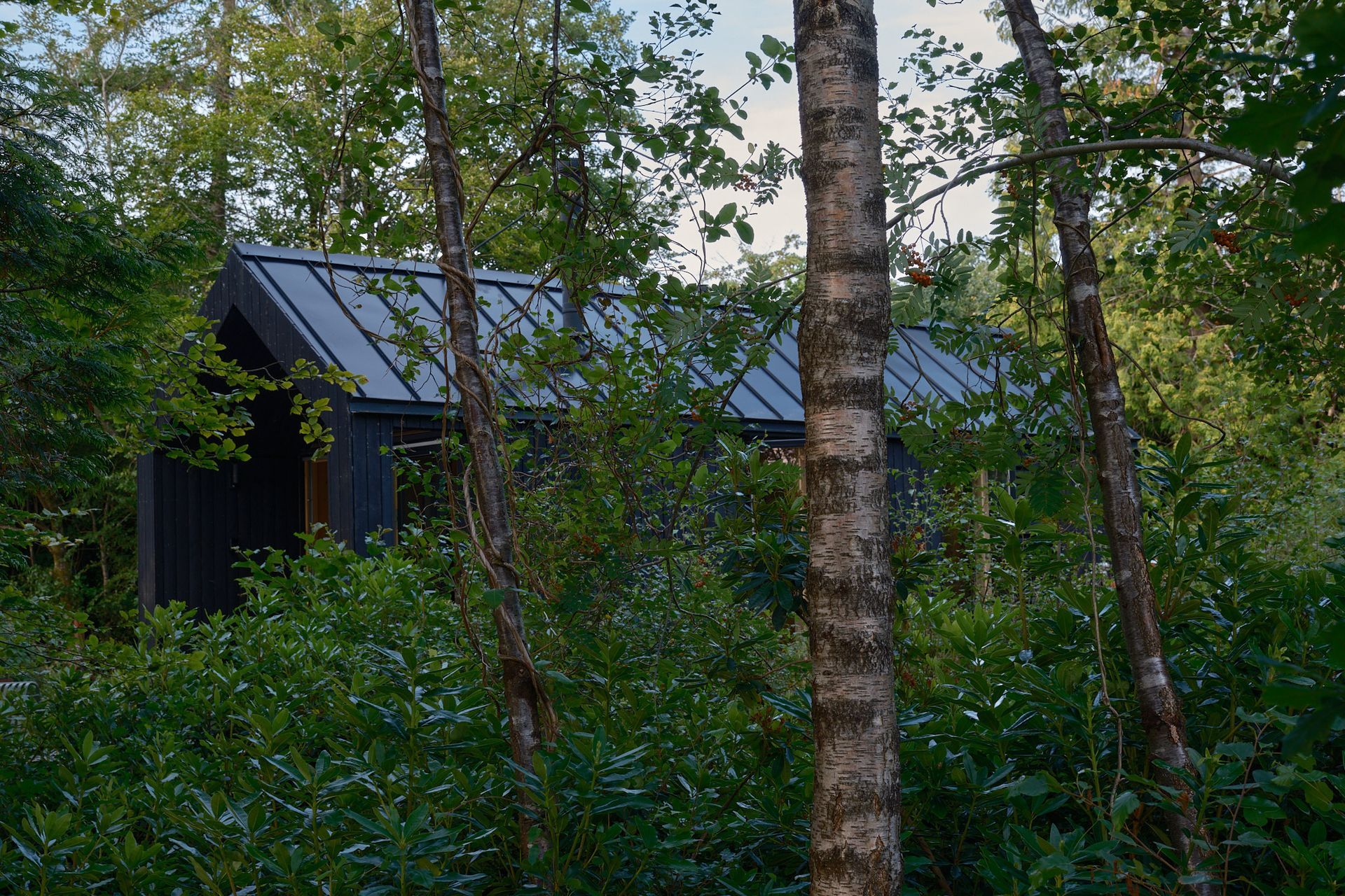 Pitched black Japanese cabin in Scotland surrounded by nature.