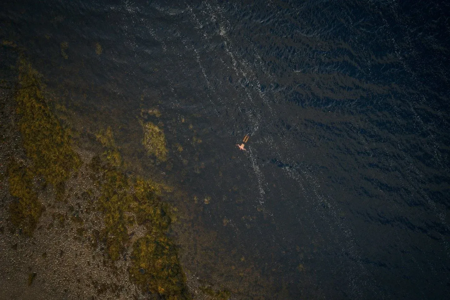Close-up of dark, shimmering water ripples, representing a wild cold-water swimming experience in Scotland.