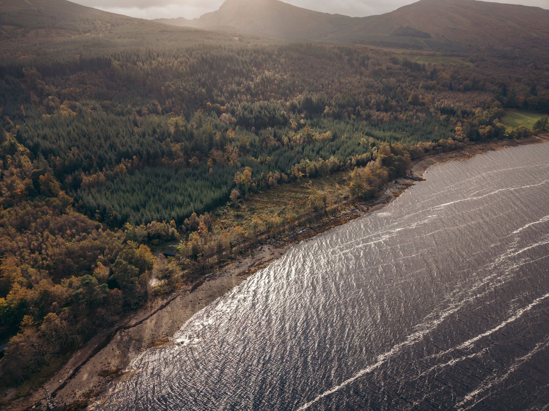 Lakeside forest with fall colors under a mountain, reflecting sunlight on the water.