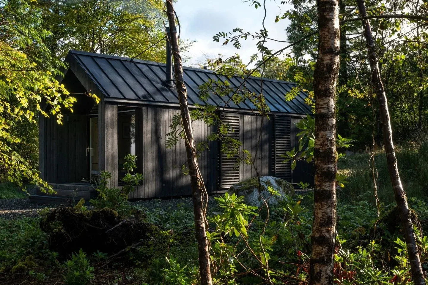 Architectural exterior of a luxury black cabin in Scotland surrounded by birch trees and natural landscaping.