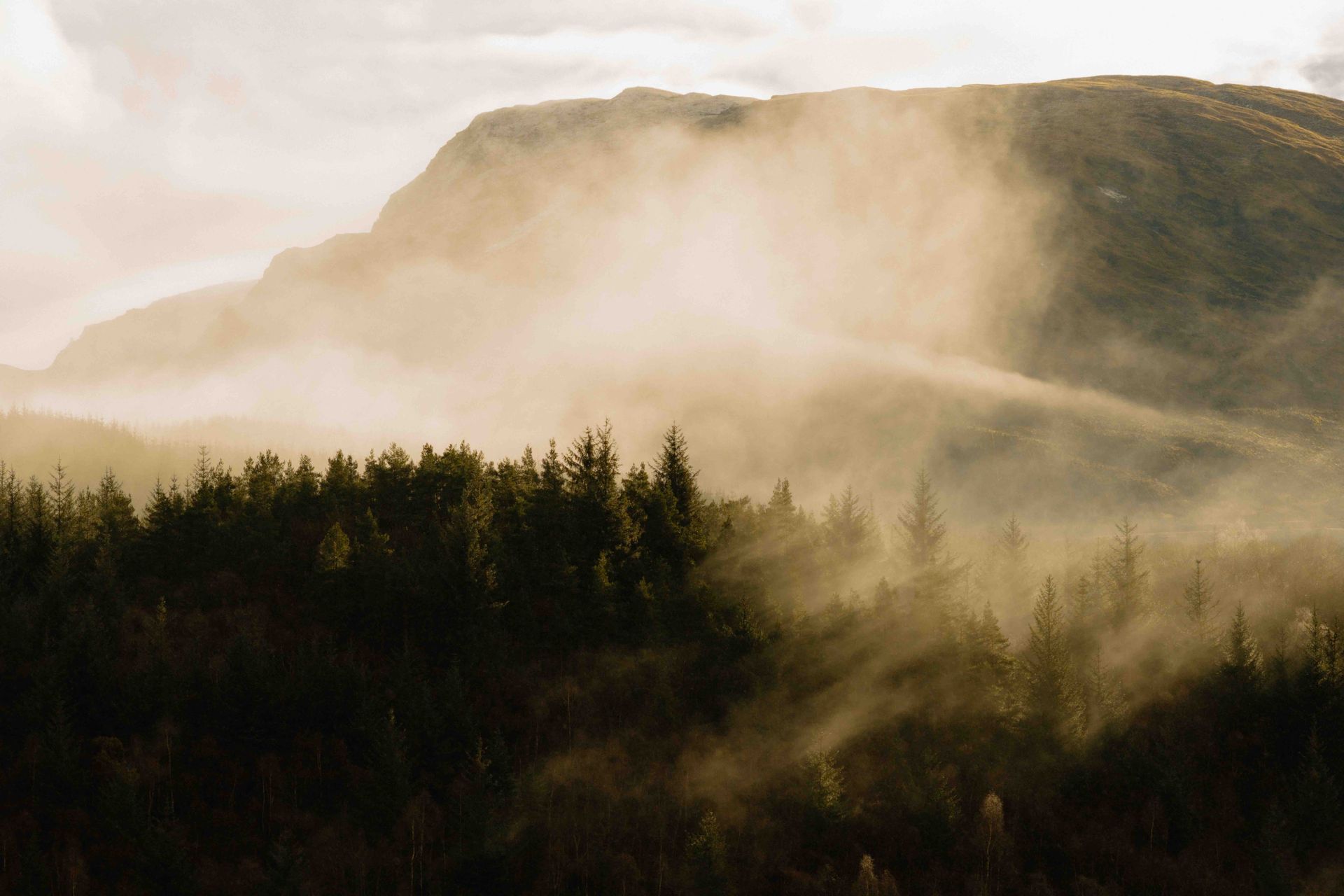 Misty mountain landscape, with dark green trees in the foreground and a hazy mountain peak in the background.
