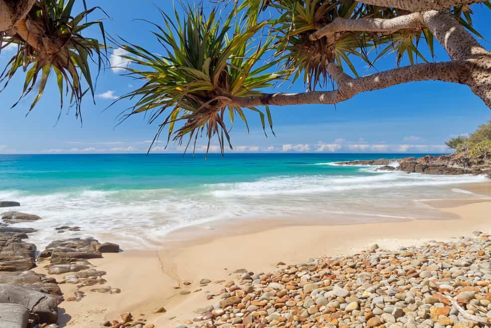 A Tree is Hanging Over a Rocky Beach Next to the Ocean — CTS Locksmiths in Coolum Beach, QLD