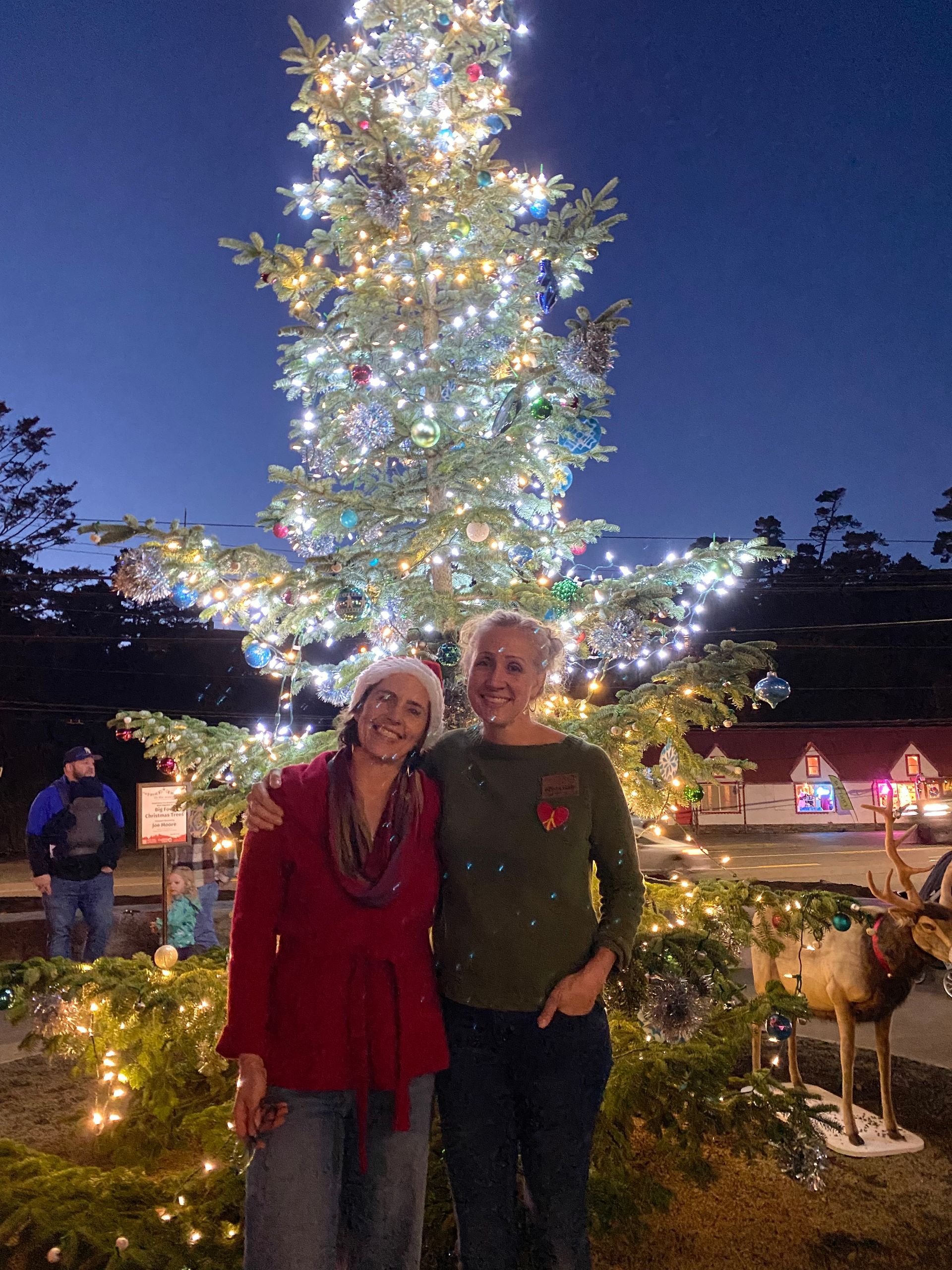 Two women are posing for a picture in front of a christmas tree.