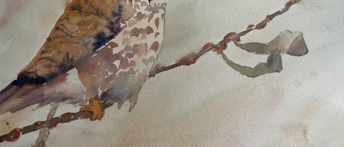 A watercolor painting of a bird perched on a branch.