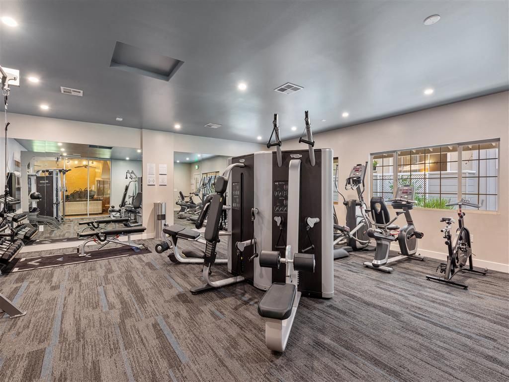 Bright indoor gym with treadmills, weight machines, and benches.