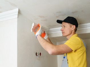 Mold Restoration