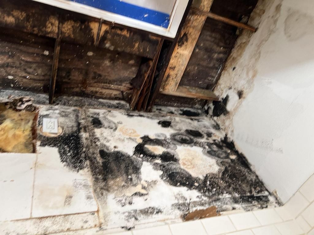 A bathroom with a lot of mold on the floor and walls.