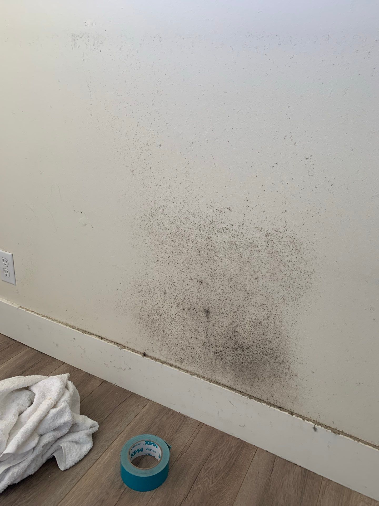 A mouldy wall with a roll of tape on the floor next to it.