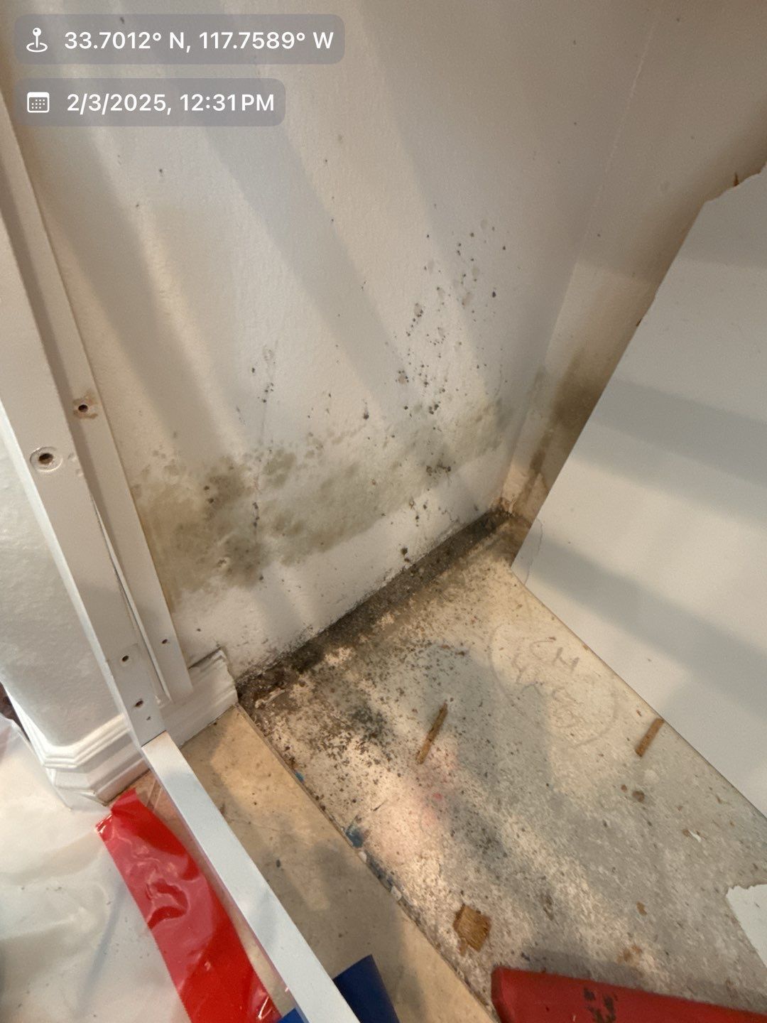 A room with a lot of mold on the wall and floor.