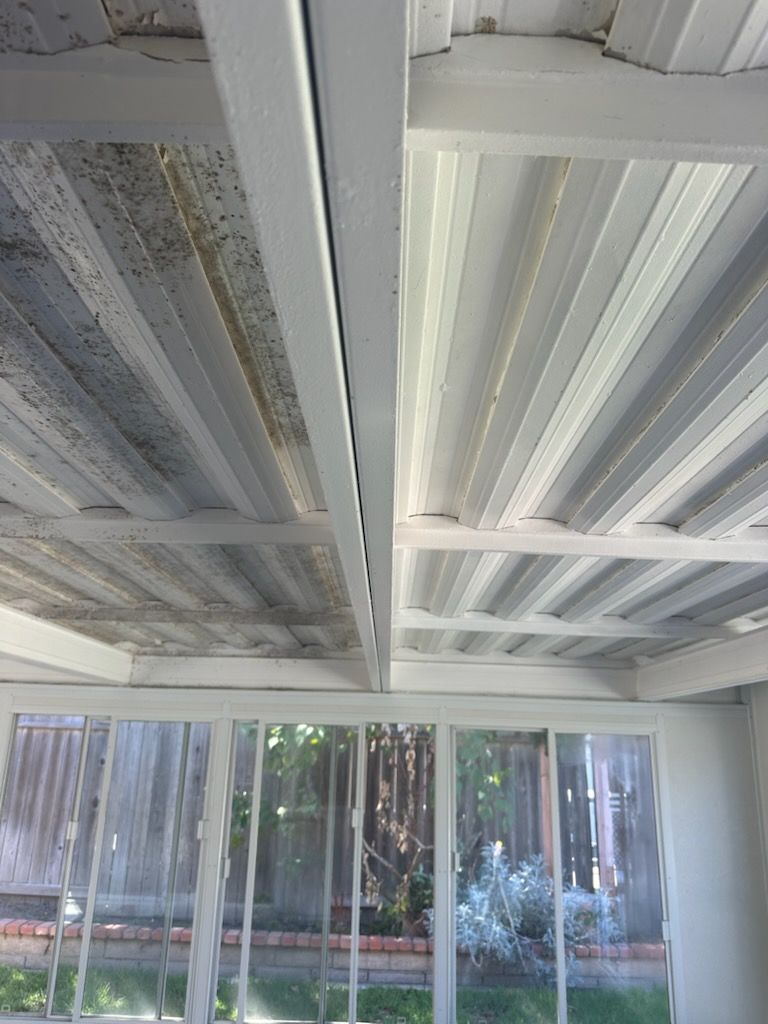 A room with a white ceiling and a lot of windows.