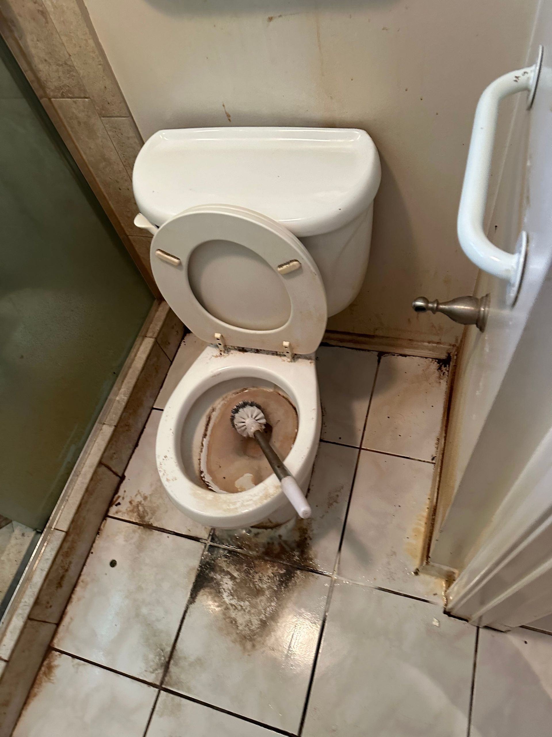 A toilet with a brush in it in a bathroom.