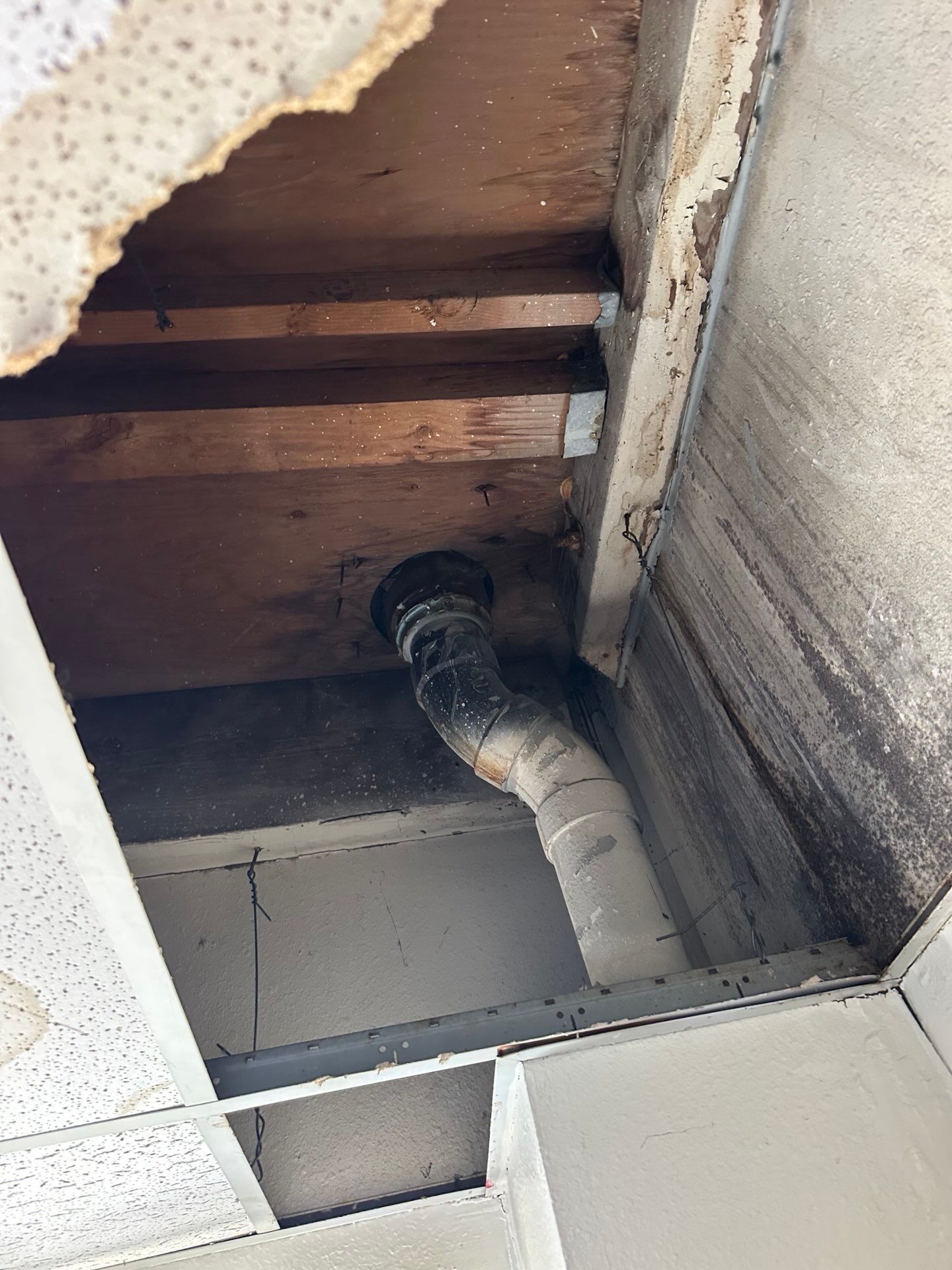 A pipe is coming out of the ceiling of a building.