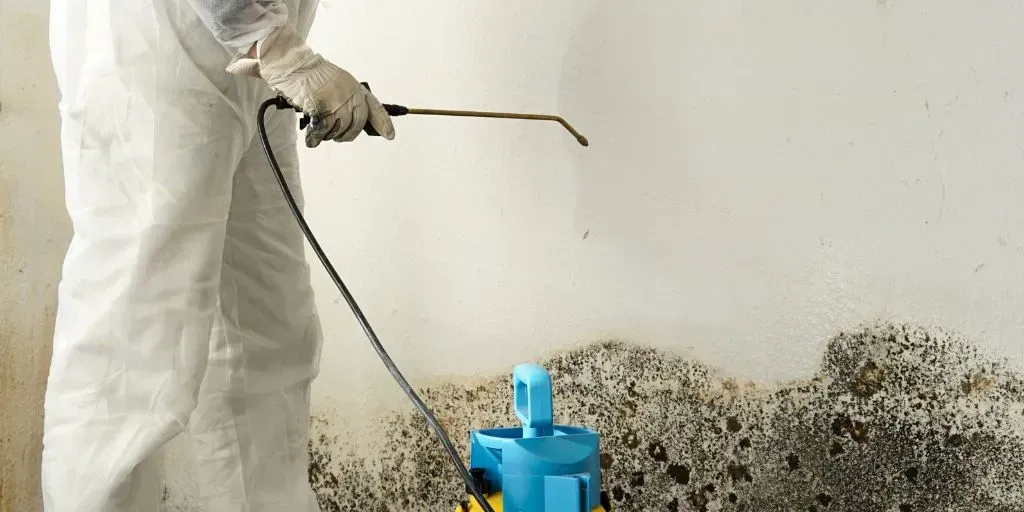 A person in a protective suit is spraying mold on a wall.