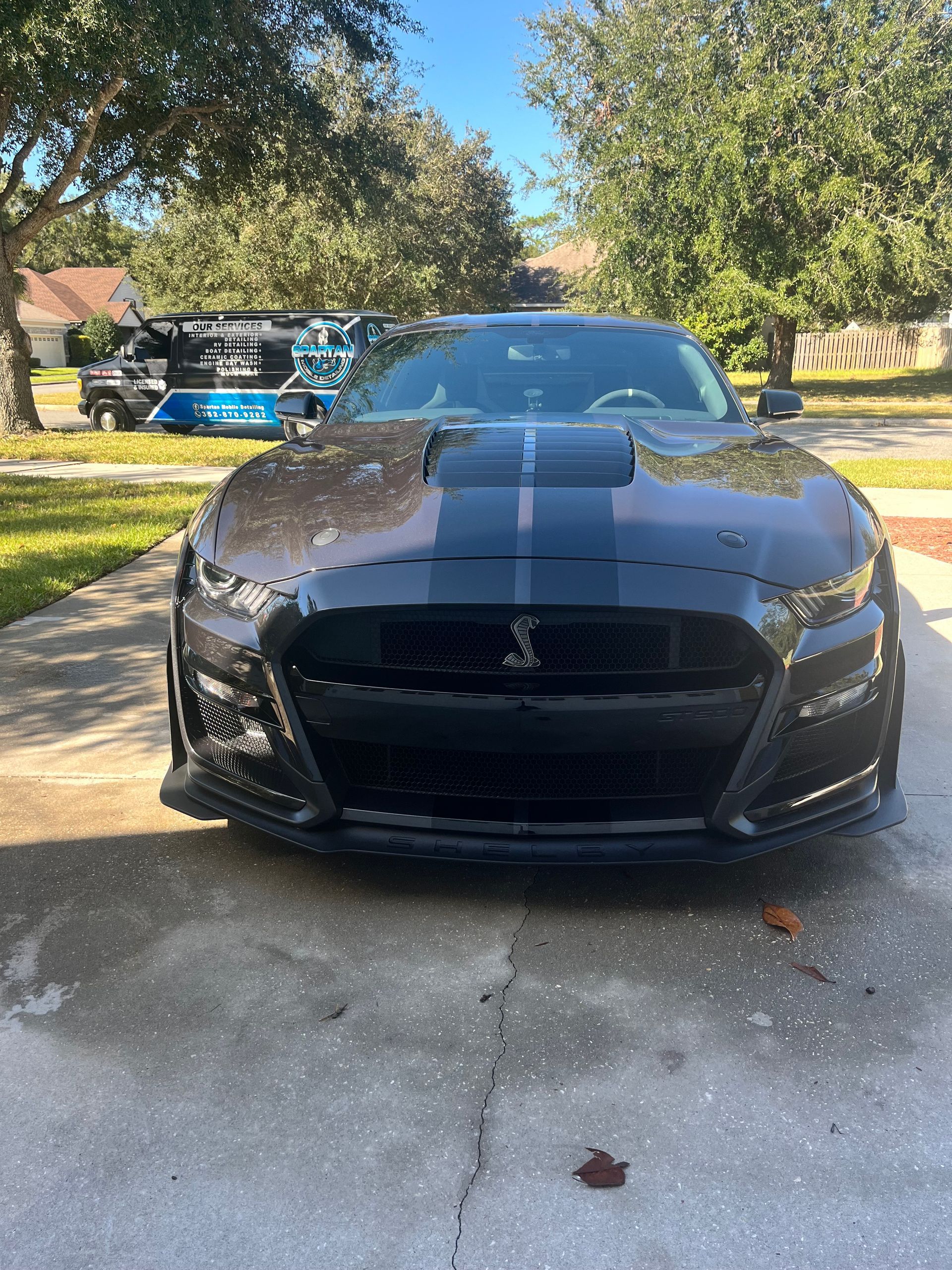 A black ford mustang is parked in a driveway.