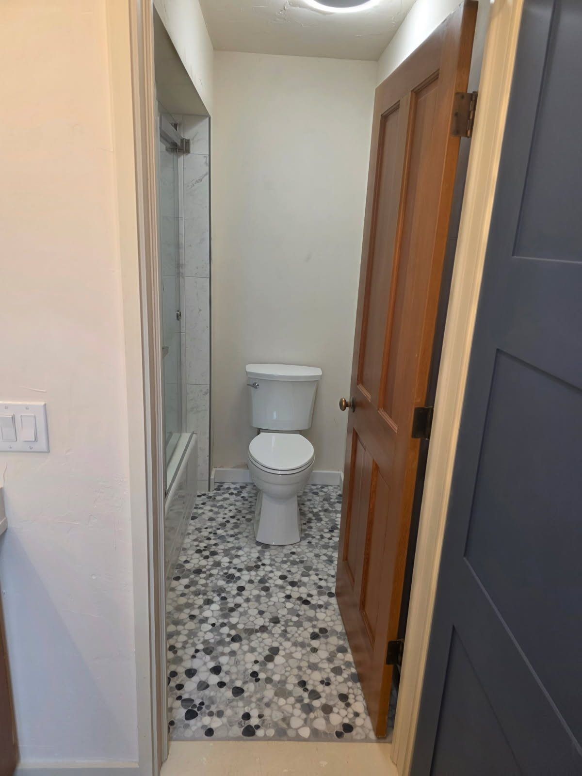 Narrow bathroom with a toilet, shower, and a wooden door. Floor is patterned mosaic tile.