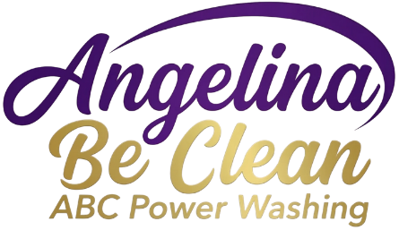 Angelina Bee Clean
