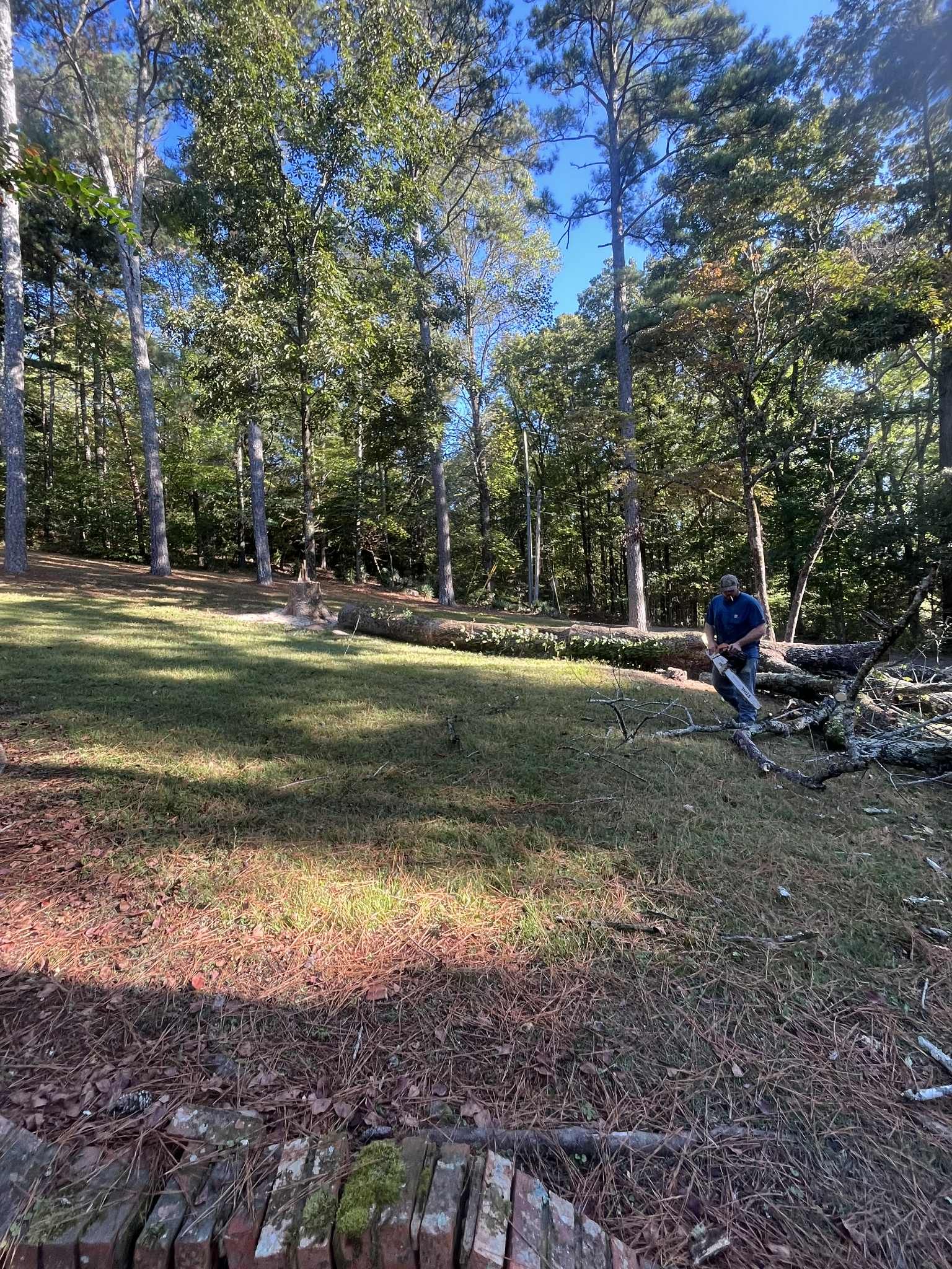 Man using a leaf blower on a lawn with fallen branches, surrounded by trees.