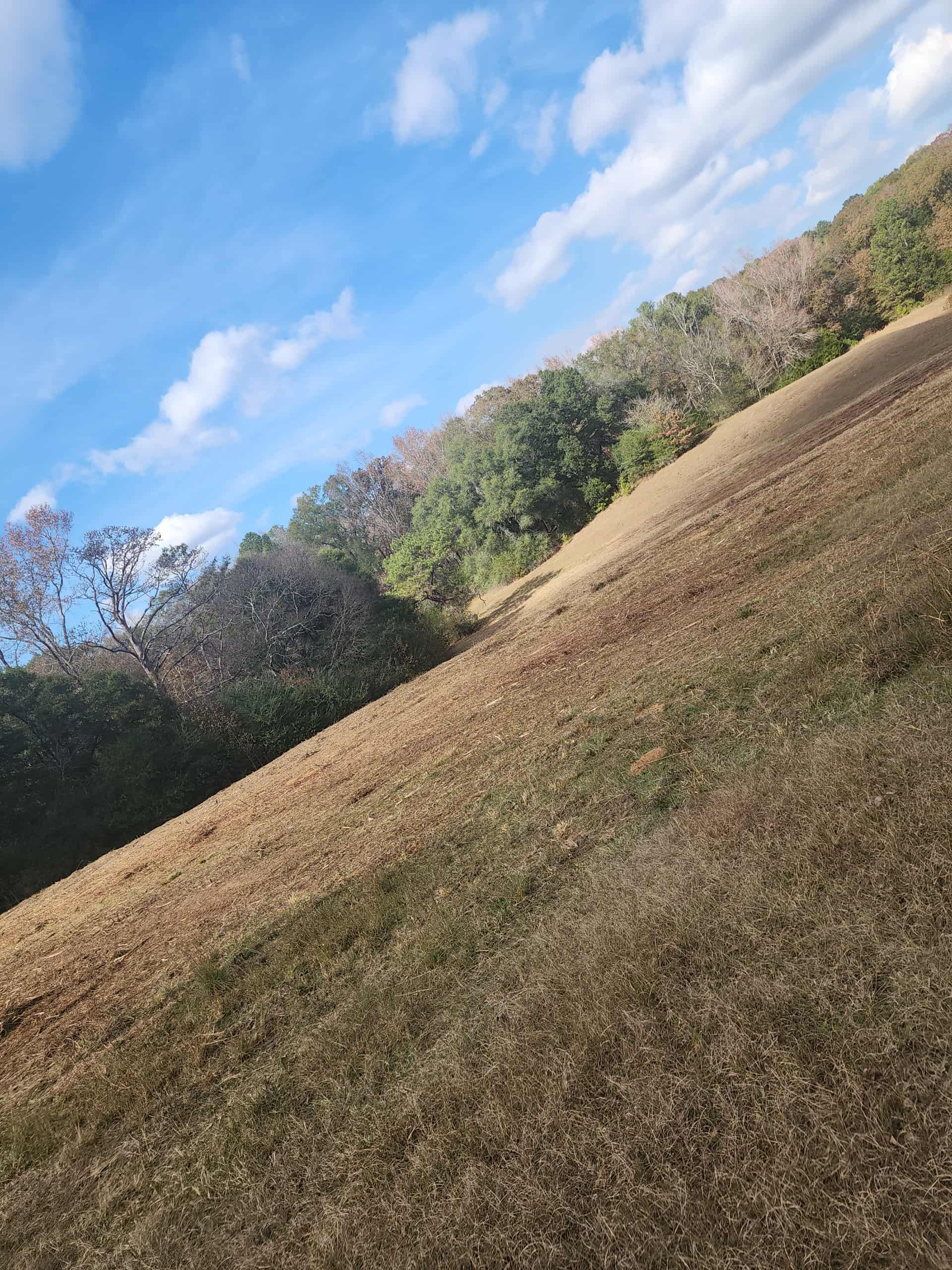 Sloping hillside with dry grass, trees, and partly cloudy blue sky.