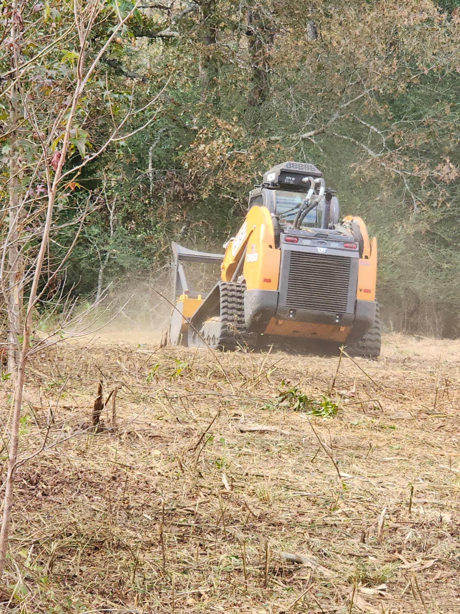 A yellow skid steer mulching brush in a clearing.