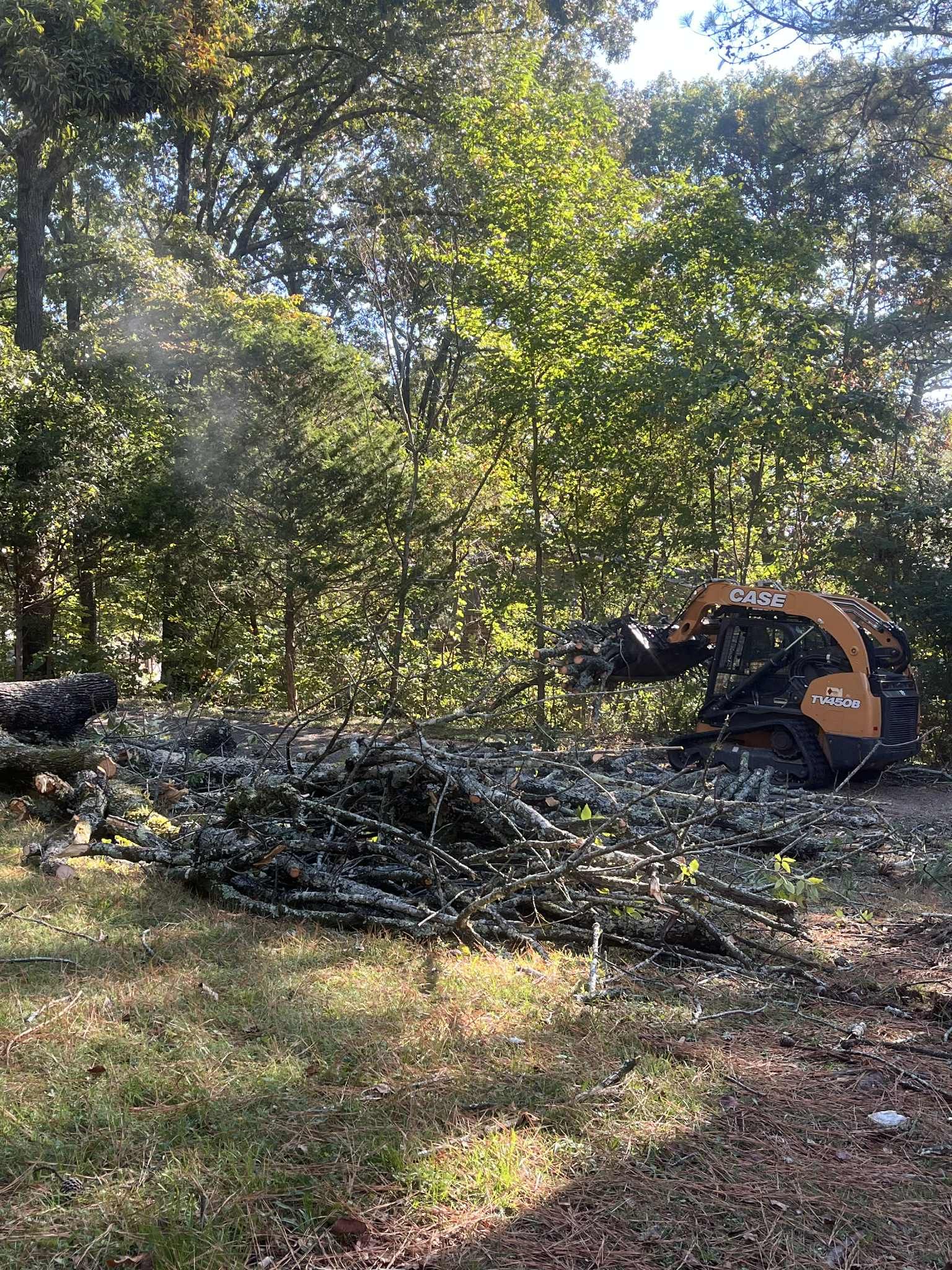 An excavator clearing a pile of branches in a wooded area on a sunny day.