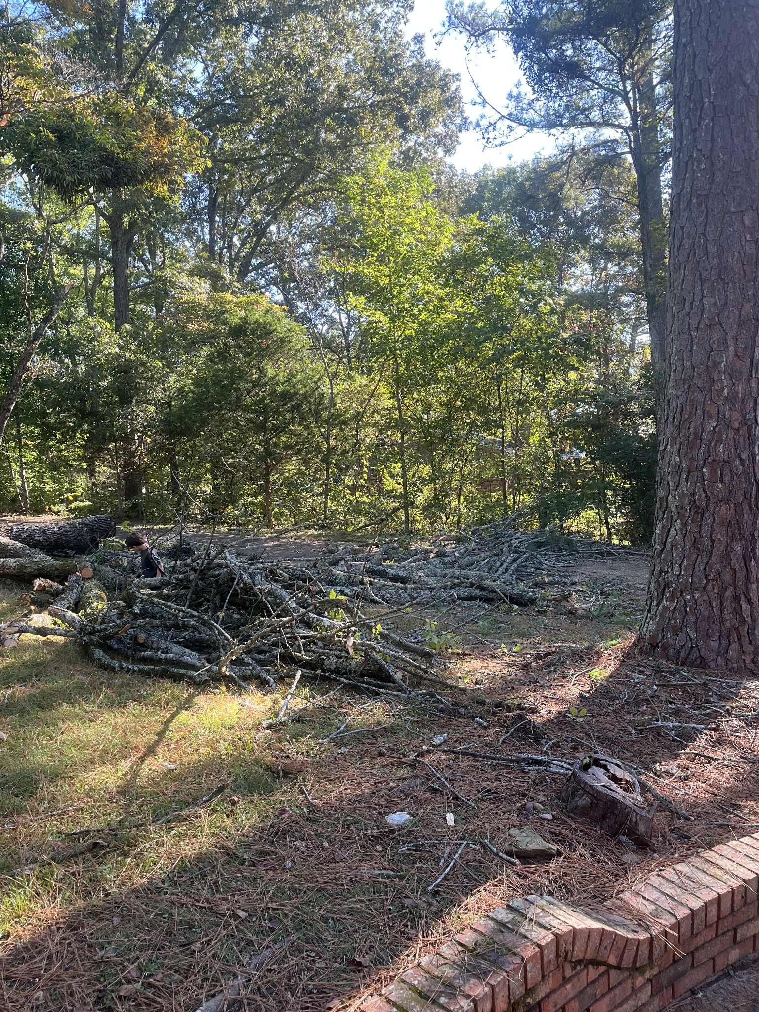 Pile of green debris in a wooded area; brickwork in the foreground, and a large tree on the right.