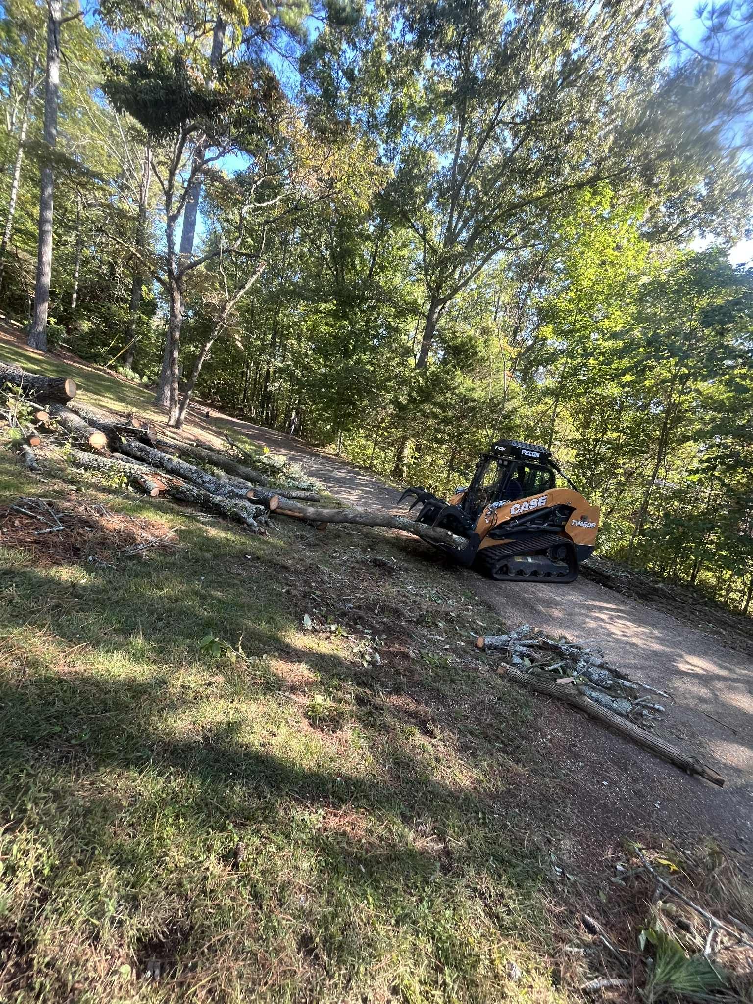 Orange and black track loader clearing debris on a hillside path surrounded by trees.